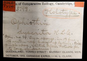 Media type: image;   Invertebrate Zoology OPH-3798 Aspect: labels